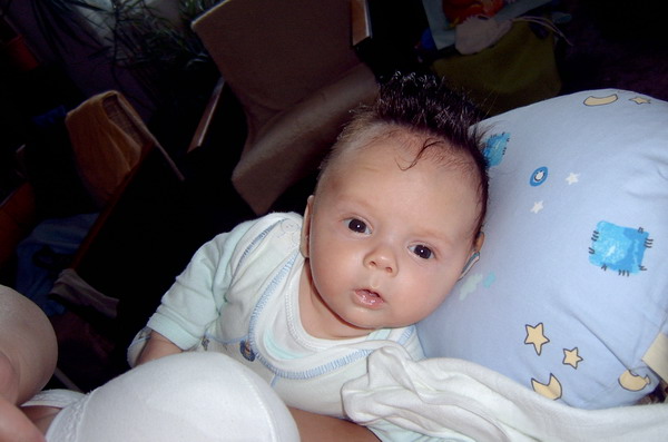 Elvis nemá šanci 5.10.2008.jpg